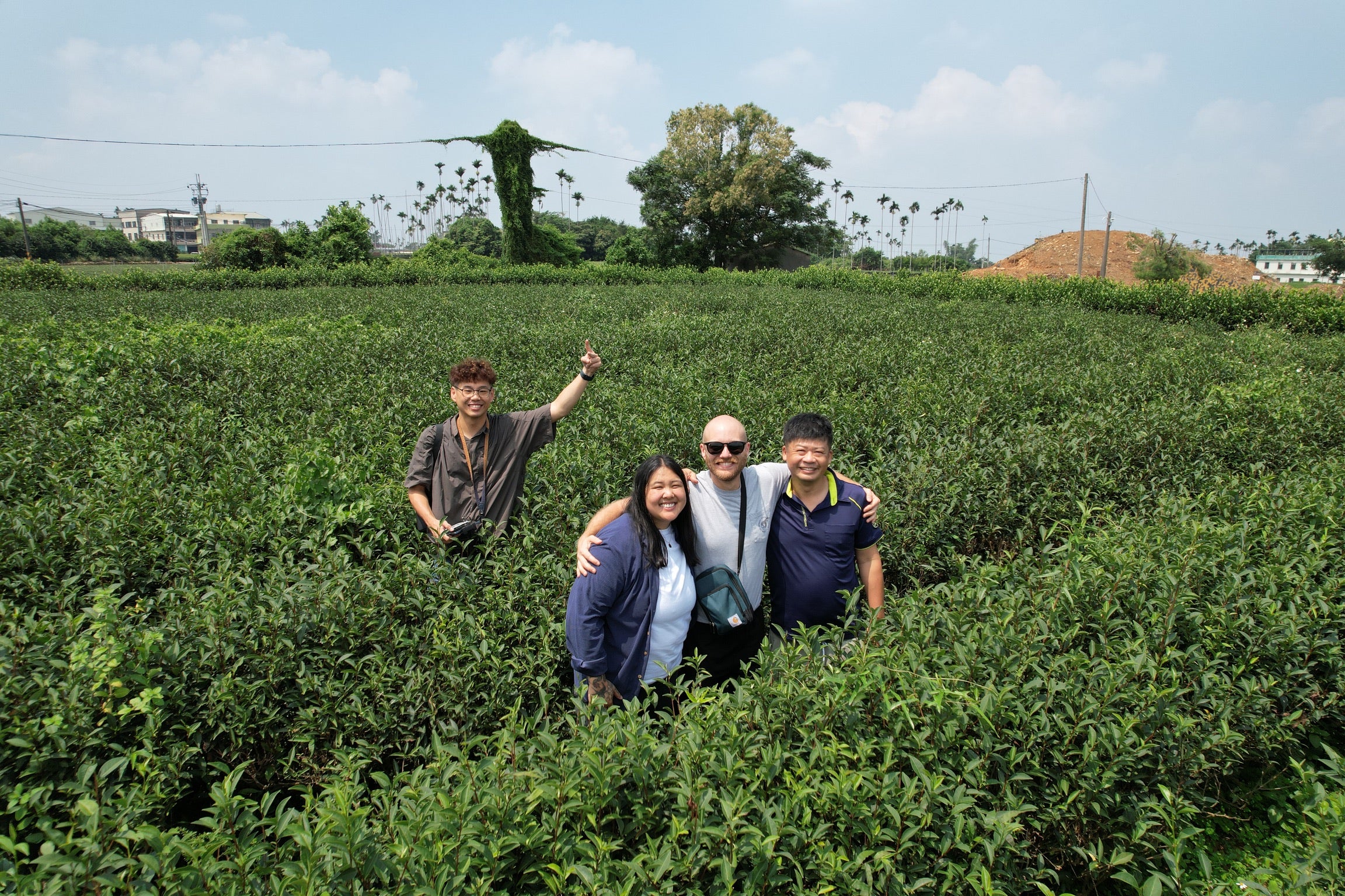 Mr. Chen's 2006 Wuyi Cultivar - Image 7