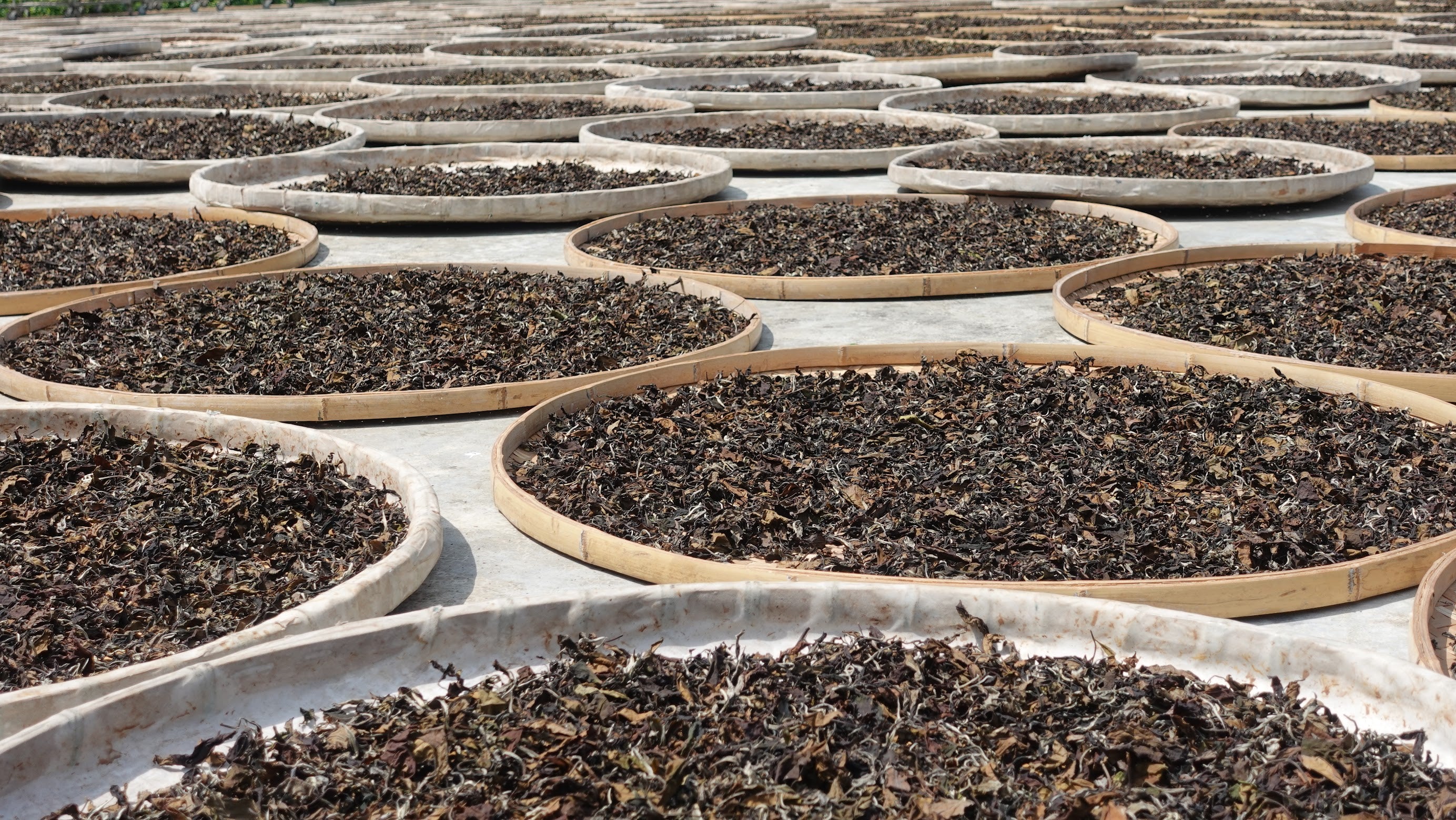 Clear Heart White - Image 5