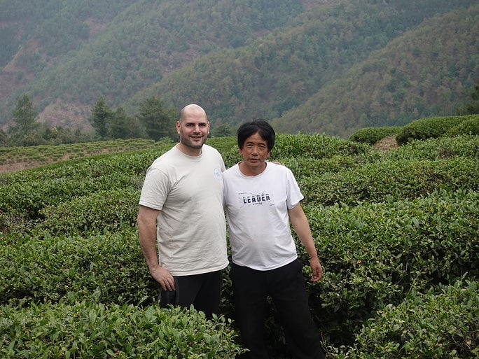 Lychee Roasted Iron Goddess - Image 4