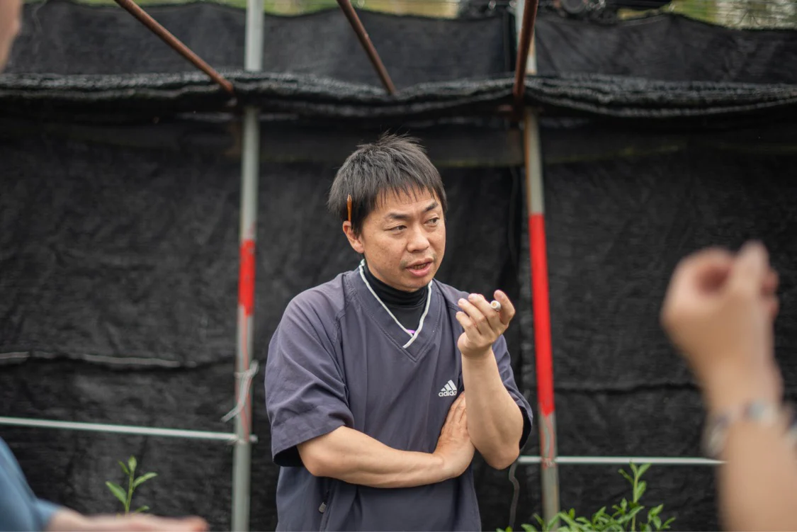 Mr. Kobayashi's Kakuun Ceremonial Matcha - Image 5