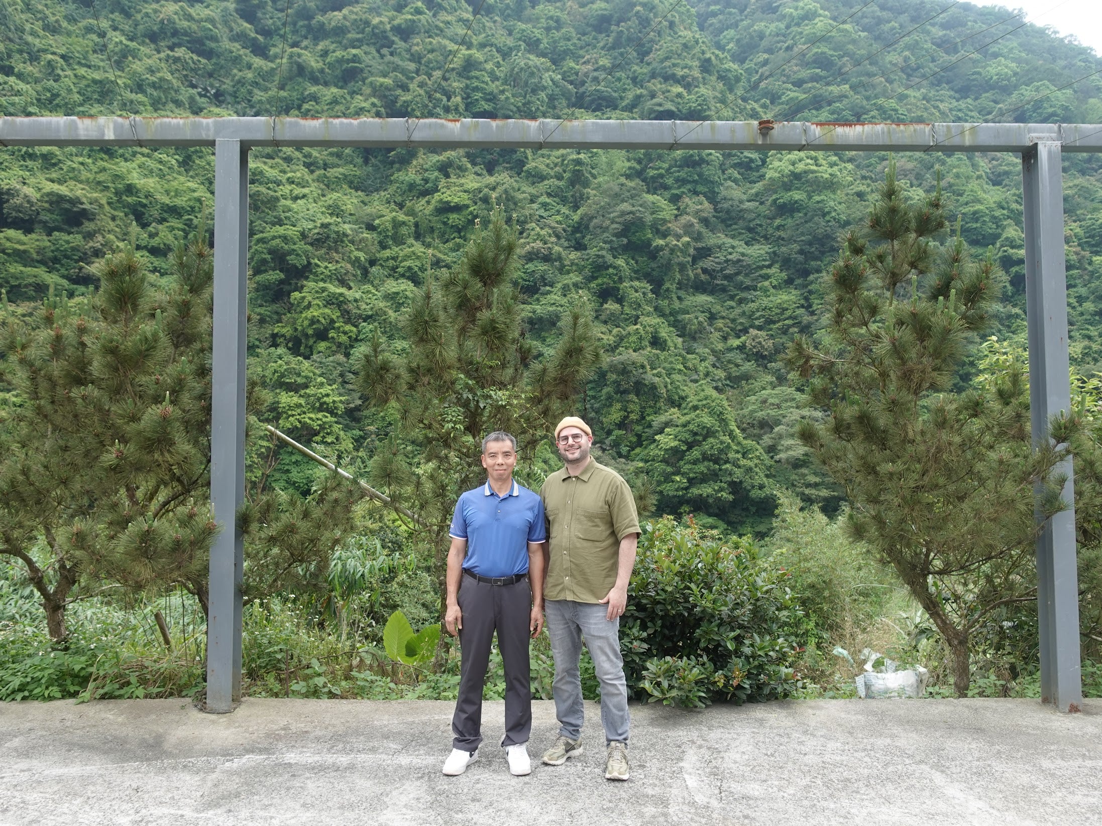 Mr. Liang's Huang Jin Gui - Image 5