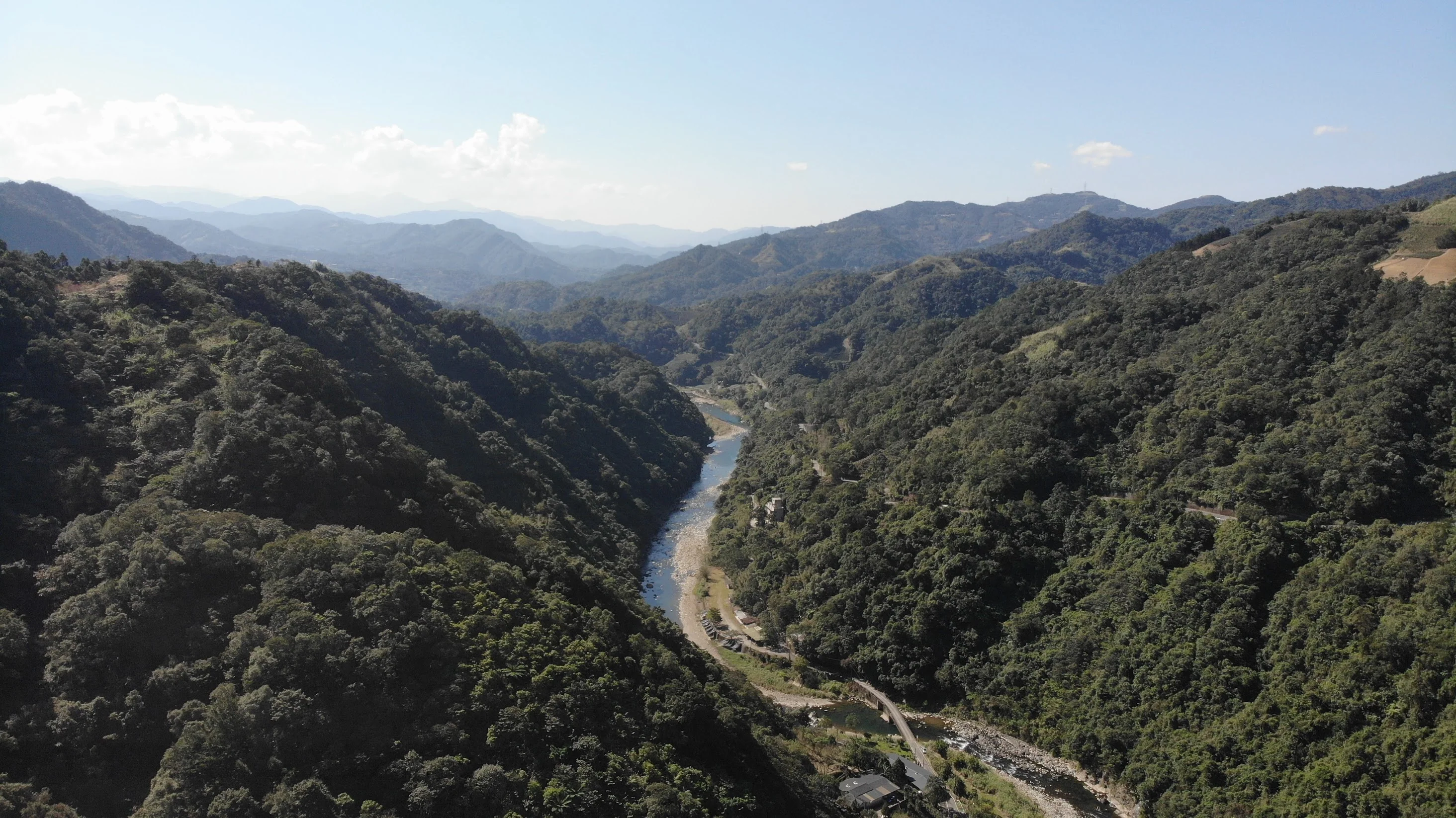 Mr. Liang's Huang Jin Gui - Image 9