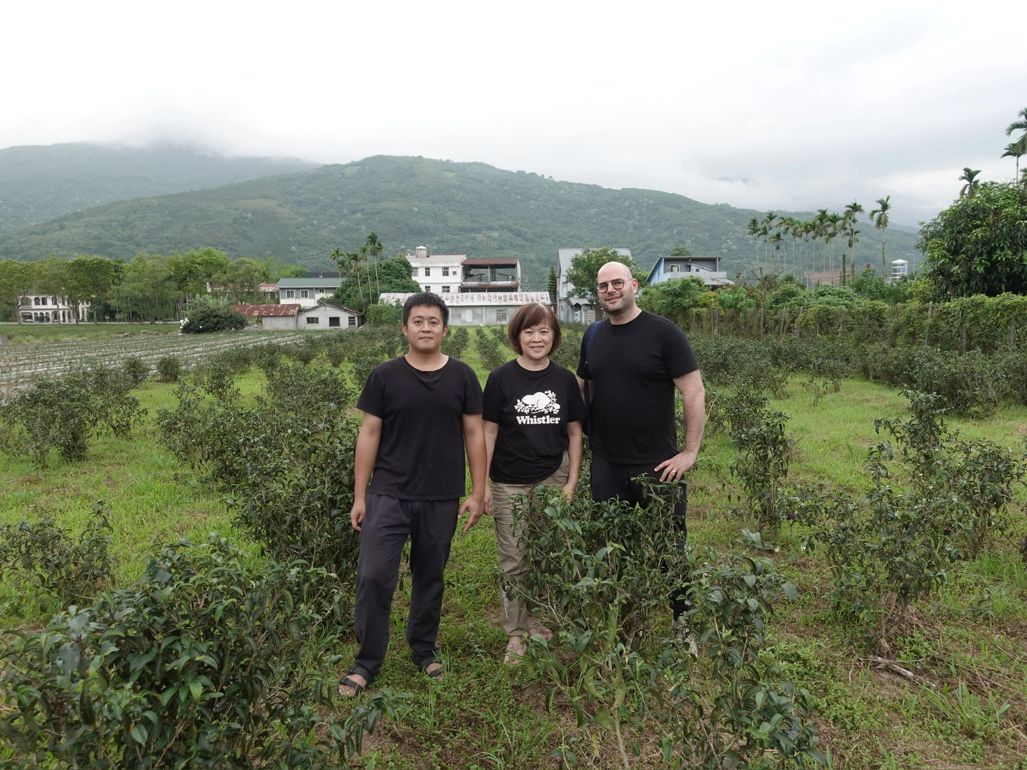 Ms. Wu's Hualien Honey Aroma - Image 4
