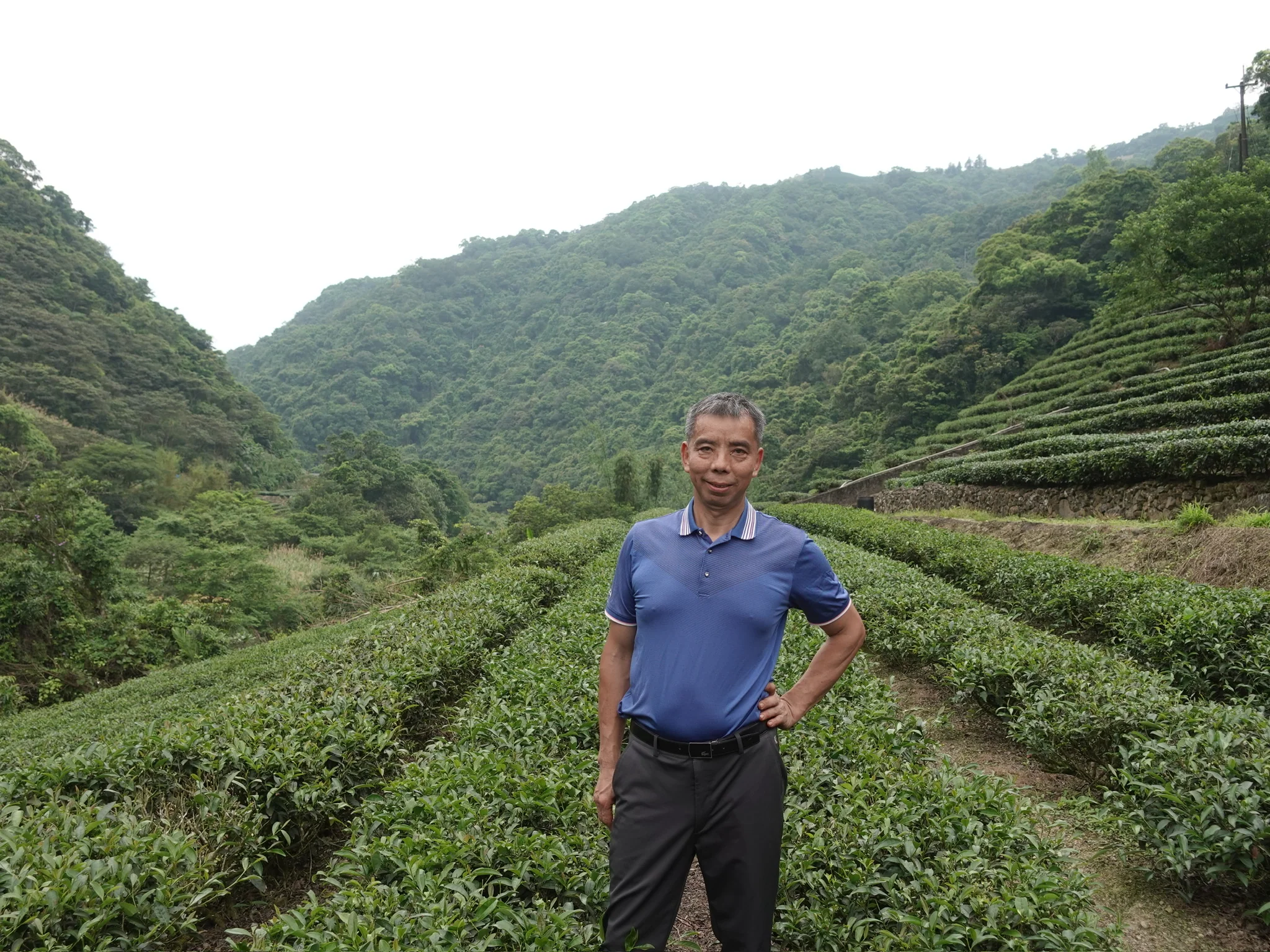 Red Water Oolong - Image 4